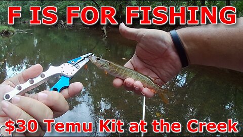 $30 Temu Kit at the Creek