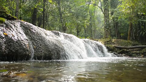 Relaxing nature