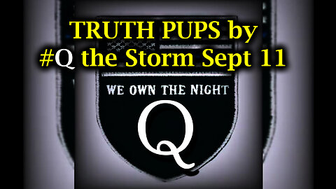 TRUTH PUPS by #Q the Storm Sept 11