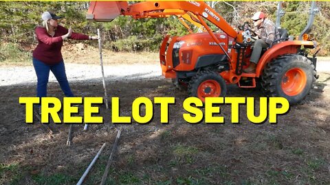 #204 Christmas Tree Lot Setup