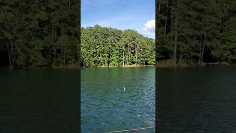 I Caught a Fish with my DJI MINI 2!!!