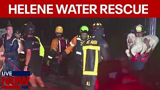 WATCH: Hurricane Helene water rescue, baby and dogs saved