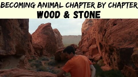 Wood & Stone - Becoming Animal - Spiritual Ecology Course