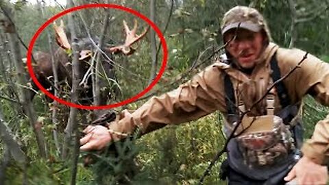 30 Times Hunters Messed With The Wrong Animals