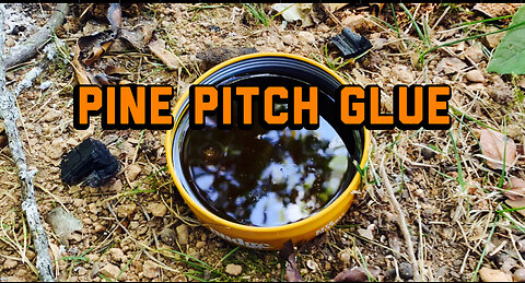 Pine Pitch Glue