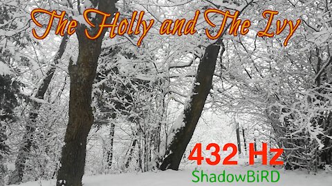 The Holly and The Ivy - ShadowBiRD (432 Hz tuning)