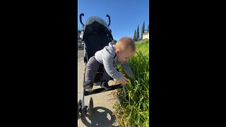 Baby excited touching grass