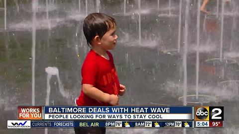 AAA warns as heat rises to check back seats for children, pets