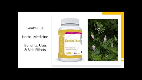 Goats rue - Herbal Medicine - Benefits, Uses & Side Effects