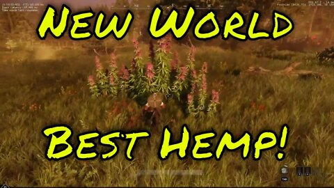 New World Best Hemp Location!