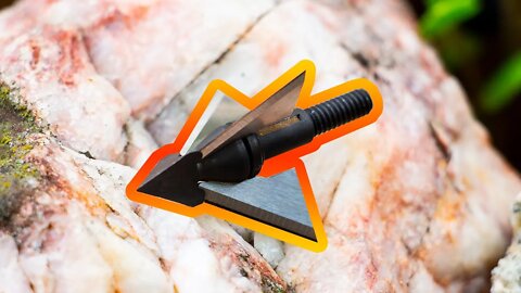 QAD Exodus Broadhead Review