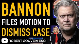 BANNON Files MASSIVE 820-Page Motion to DISMISS #J6 Case