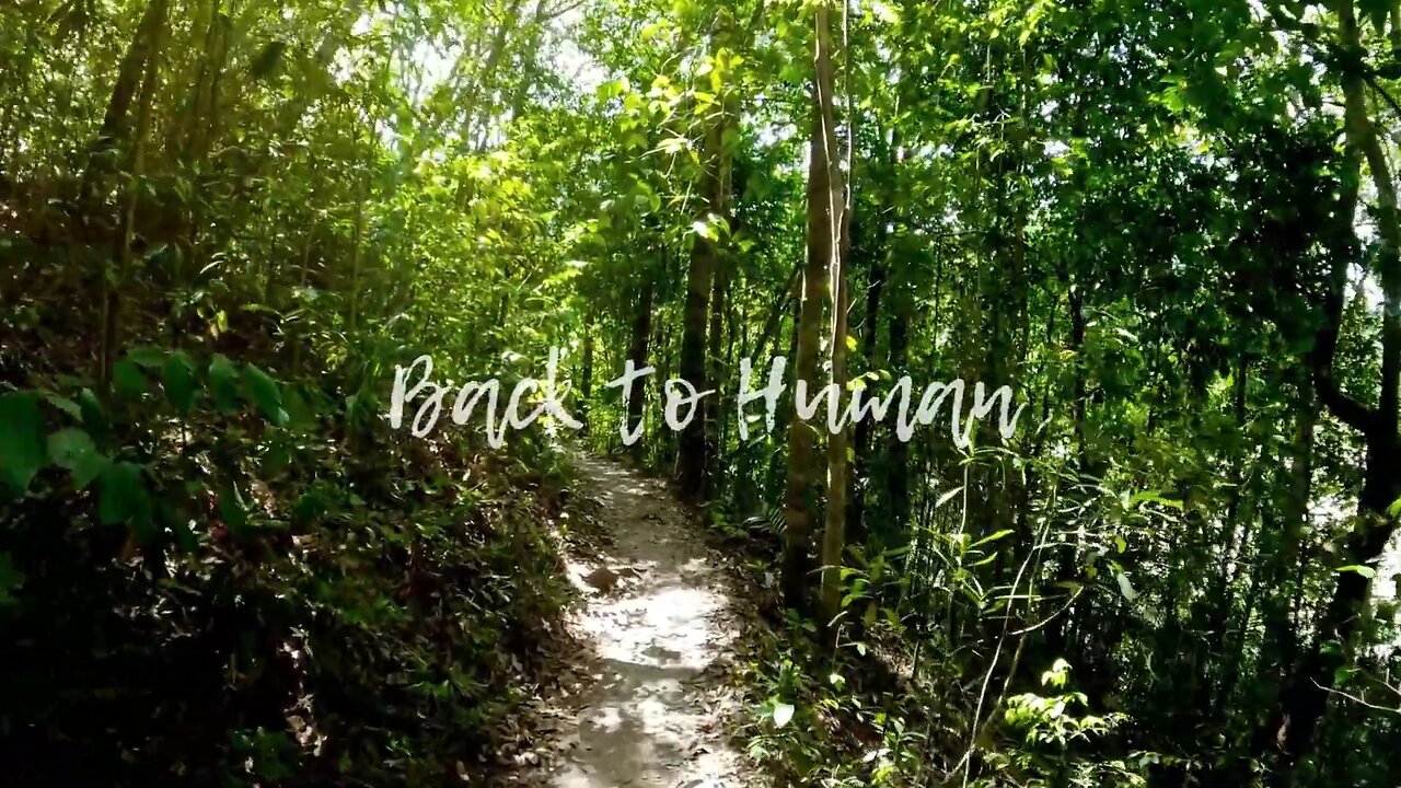 Strawman The Real Story of Your Artificial Person w/ Clint Richardson