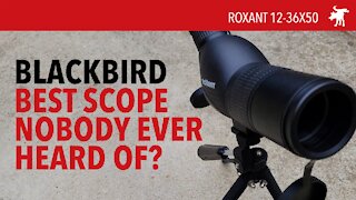 Roxant Blackbird 12-36x50 Spotting Scope