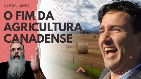 JUSTIN TRUDEAU decide DESTRUIR AGRICULTURA para resolver PROBLEMA CLIMÁTICO, você que coma INSETO