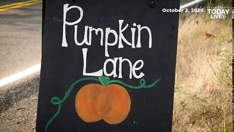 Pomeroy Farm’s Pumpkin Lane open this month