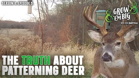 The Truth About Patterning Whitetails