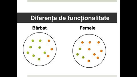 Daniel Brânzei: Seminarul despre familie (1) - Problema problemelor de familie și Tiparul Divin