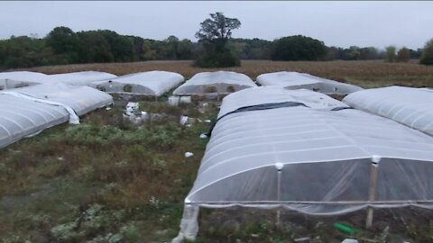 Court records: Police bust massive marijuana farm in Franklin, Wis.