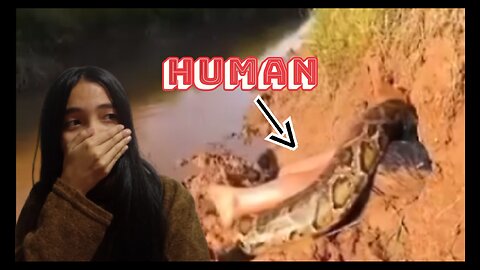 Snake eat human 😱😱