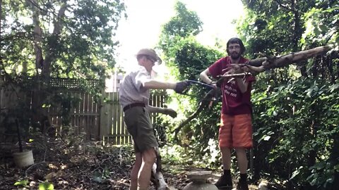 Backyard lumberjacks Part II: LEVERAGE