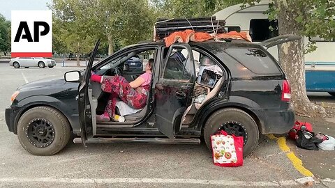 A California wildfire evacuee shelters in her car with her 7 dogs