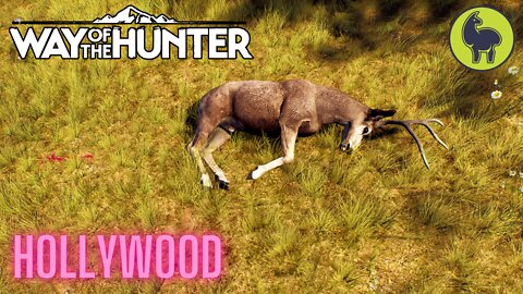 Hollywood | Way of the Hunter (PS5 4K)