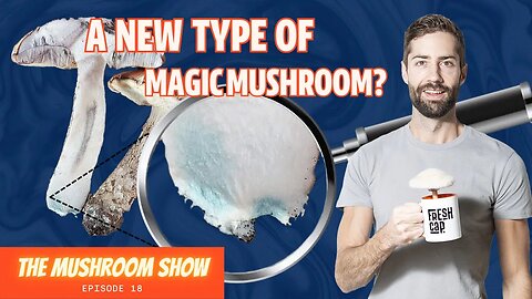 A Totally Weird "Magic Mushroom" That No One Seems To Know Anything About...