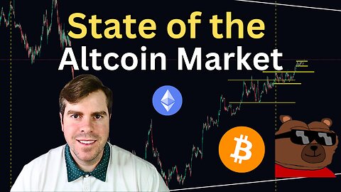 State of the Altcoin Market: Building My Portfolio