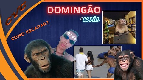 Brazil: country of monkeys with IQ 84