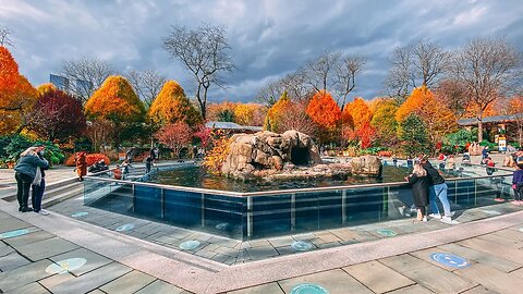 New York City Live: Central Park Zoo Tour