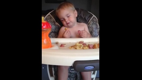 Baby falls asleep while eating in his highchair