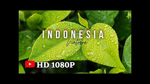 IRAMA MUSIK PIANO PENGANTAR INSOMNIA ~ HD VIDEO 1080P [ NO COPYRIGHT ] @MasPedal