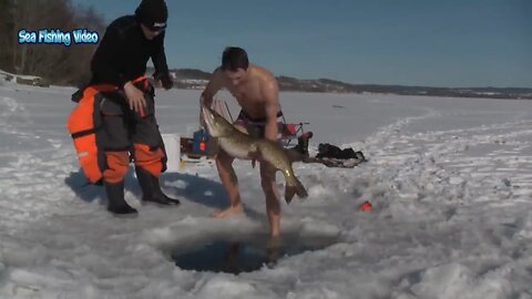 Excellent ice fishing technique 🐠🐠🐠🐠