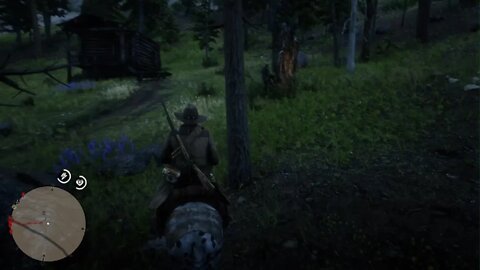 Red Dead Redemption 2: Leonardo DiCaprio inspired