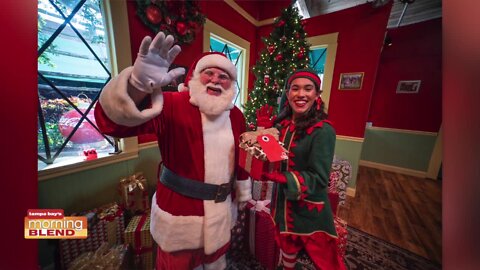 Busch Gardens Christmas Town | Morning Blend