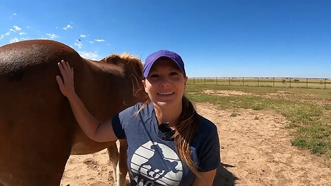 Emergency on the Farm with Cami, one of the original six Belgian Draft Horses saved from slaughter