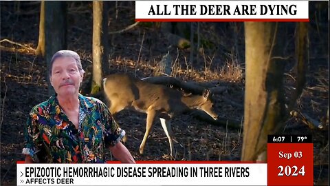 All the Deer are dying, soon there will be none left!