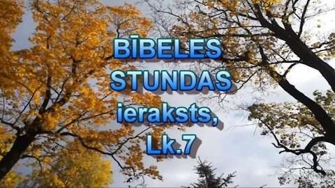 Bībeles stunda Skype, videoieraksts; no Lk.7 (yt 19.11.20.)