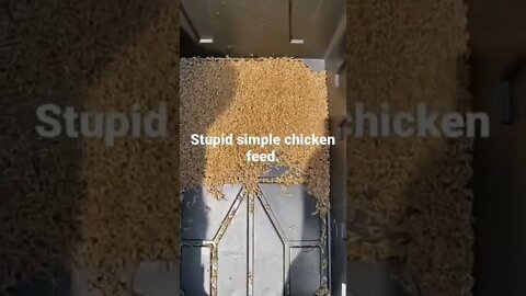 Stupid simple worm trap makes free chicken feed. 🤢