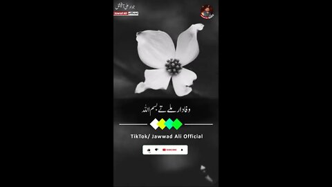 Wafadar Mily Ty Bismillah - Punjabi Poetry Whatsapp Status - Sad Saraiki Shero Shayari Dohray