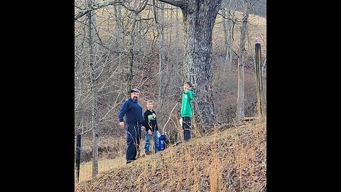 Maple tree tappin' for beginners