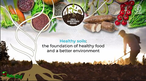 wholesome soils: the underpinning of quality food and a superior climate