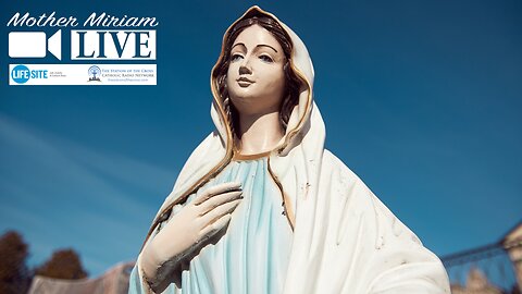 Mary promises graces for those who do this on the Solemnity of the Immaculate Conception