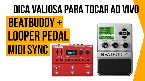 BEATBUDDY + LOOPER PEDAL | DICA VALIOSA PARA TOCAR AO VIVO