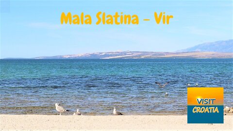 Mala Slatina Beach On The Island Of Vir In Croatia