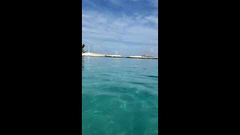 snorkeling at coco cay