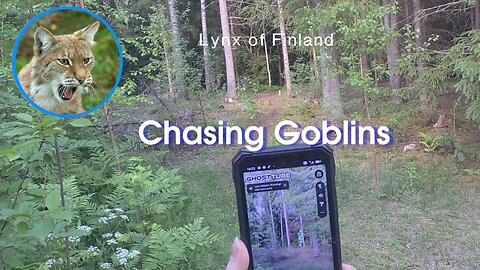 Chasing Goblins