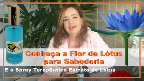 Conheça a Flor de Lotus para Sabedoria