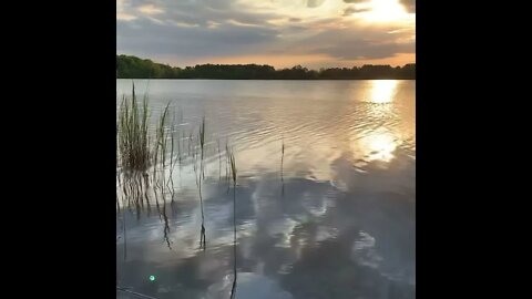 The Sounds of Nature- Lake Audrey